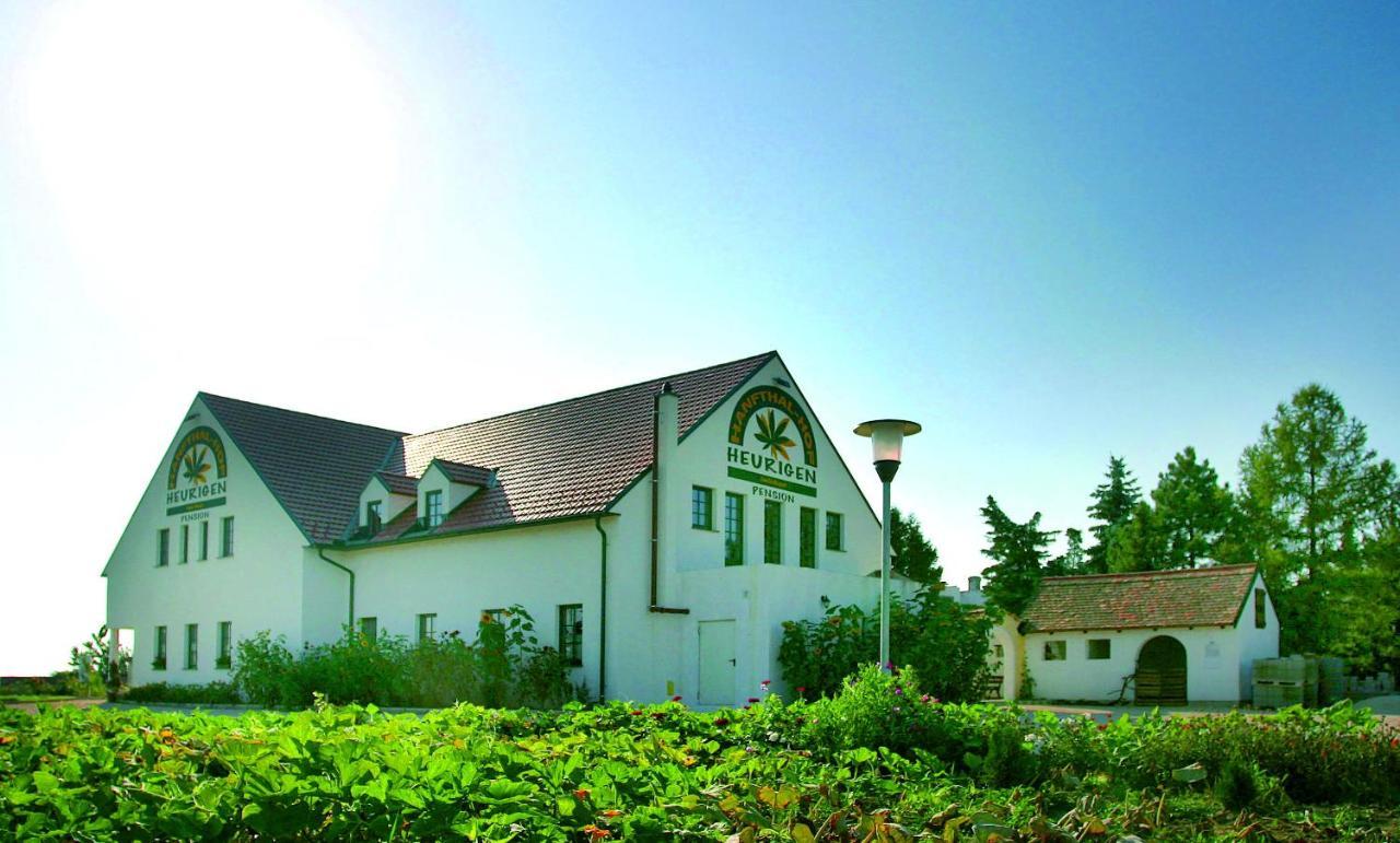 Hanfthal-Hof ลาอันเดอร์ธายา ภายนอก รูปภาพ